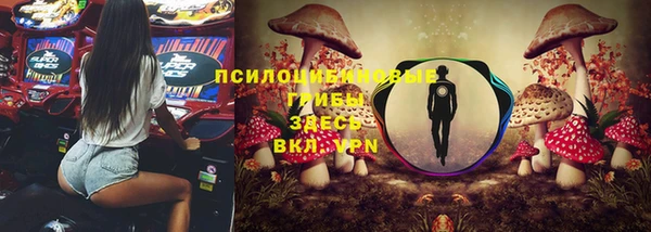 PSILOCYBIN Беломорск